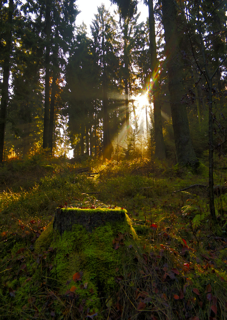 Herbst im bergischen Land_1050170