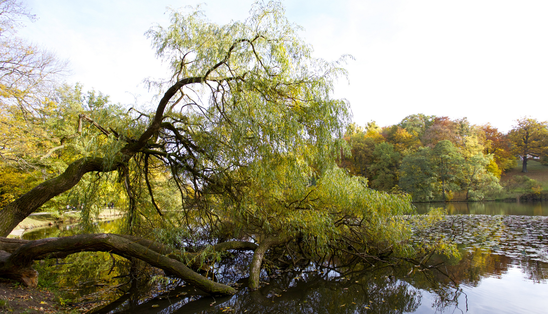 Herbst im Bergpark