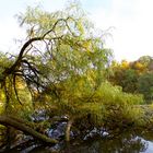 Herbst im Bergpark