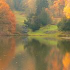 Herbst im Bergpark Kassel Wilhelmshöhe 1