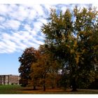 Herbst im Bergpark: Riesen vorm Schloßflügel