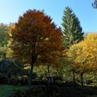 Herbst im Bergpark Wilhelmshöhe