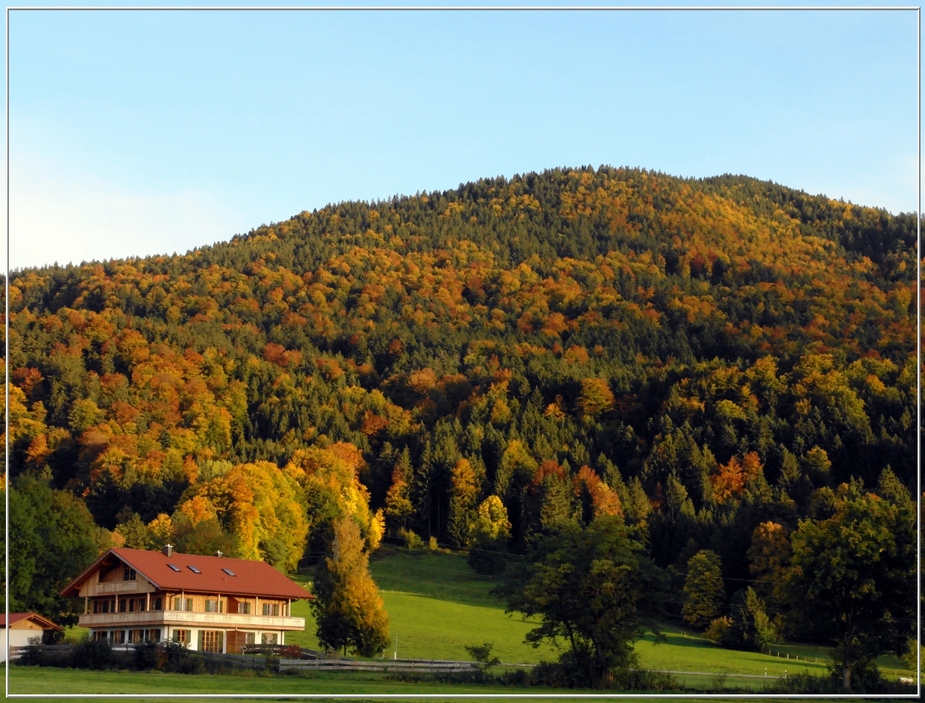 Herbst im Bergwald