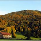 Herbst im Bergwald