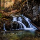 Herbst im Bergwald