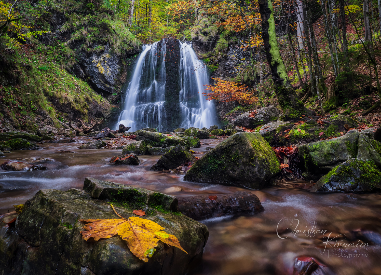 Herbst im Bergwald