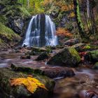 Herbst im Bergwald