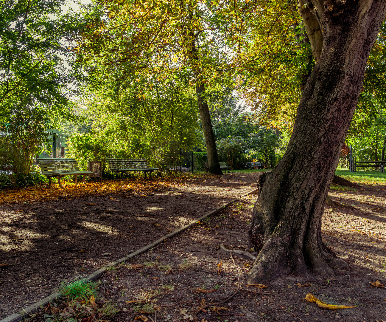 Herbst im Berlin-Pankow