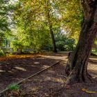 Herbst im Berlin-Pankow