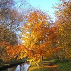 Herbst im Berliner Erpetal