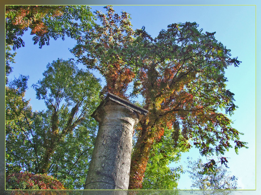 Herbst im Berliner Tiergarten