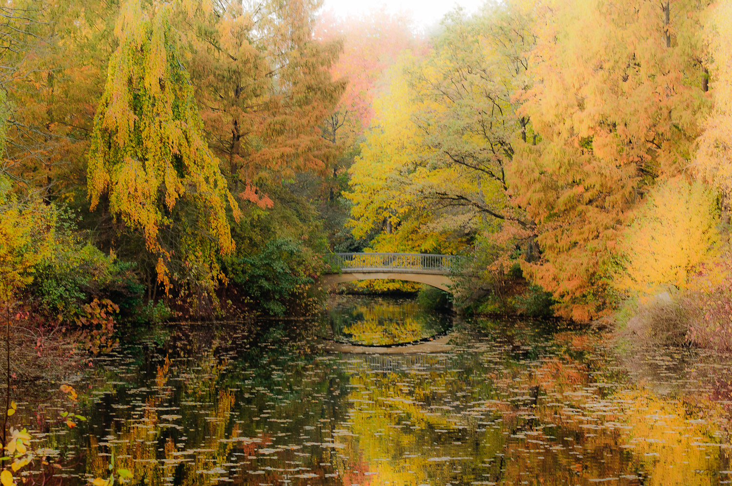 Herbst im Berliner Tiergarten