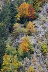 Herbst im Berner Oberland (Schweiz)