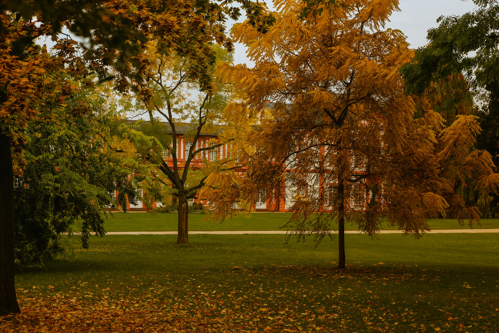 Herbst im Biebricher Schlosspark.