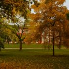 Herbst im Biebricher Schlosspark.