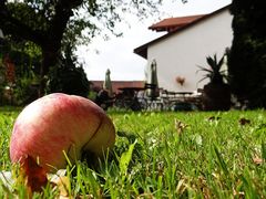 Herbst im Biergarten