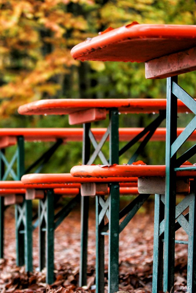 Herbst im Biergarten