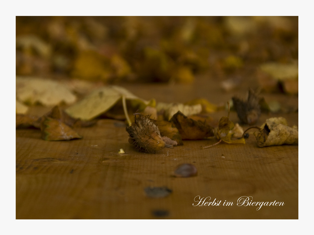 Herbst im Biergarten