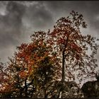 Herbst im Bilsteintal
