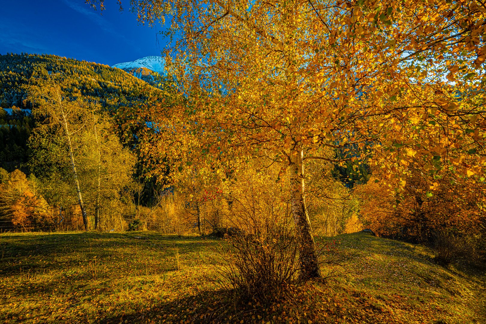 Herbst im Binntal