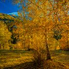 Herbst im Binntal