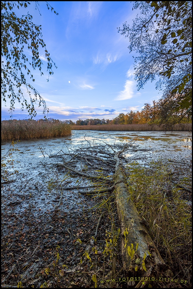 Herbst im Biosphärenreservat Oberlausitzer Heide- und Teichlandschaft hier bei Guttau