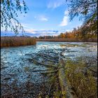 Herbst im Biosphärenreservat Oberlausitzer Heide- und Teichlandschaft hier bei Guttau