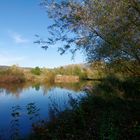 ...Herbst im Biotop