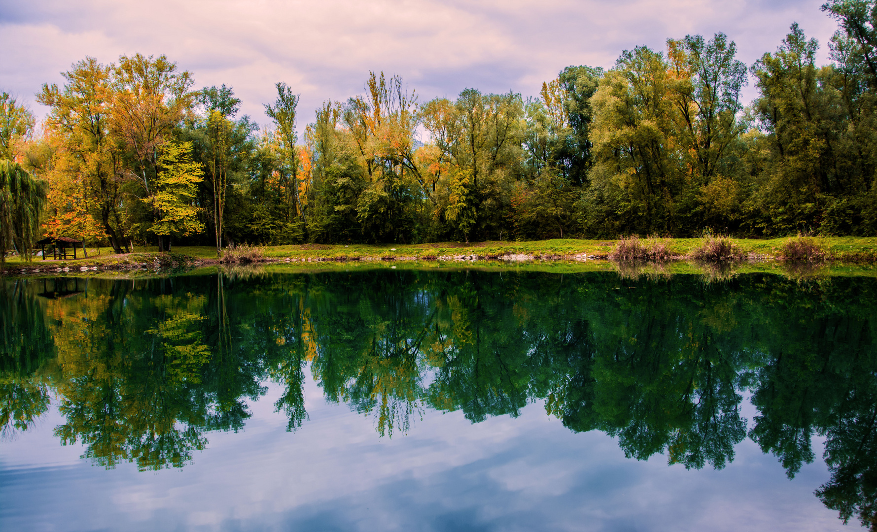 Herbst im Biotop