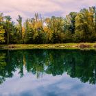 Herbst im Biotop