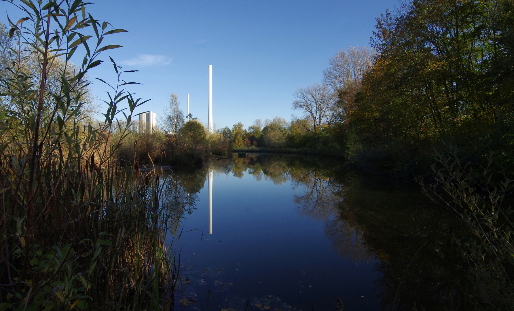 ...Herbst im Biotop