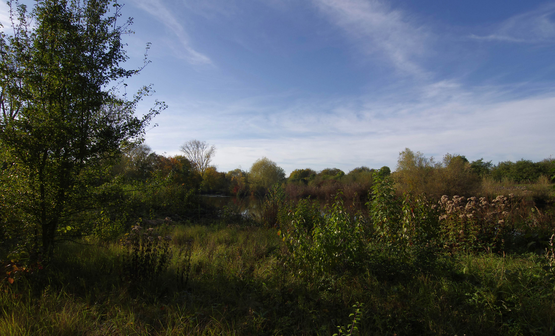 ...Herbst im Biotop