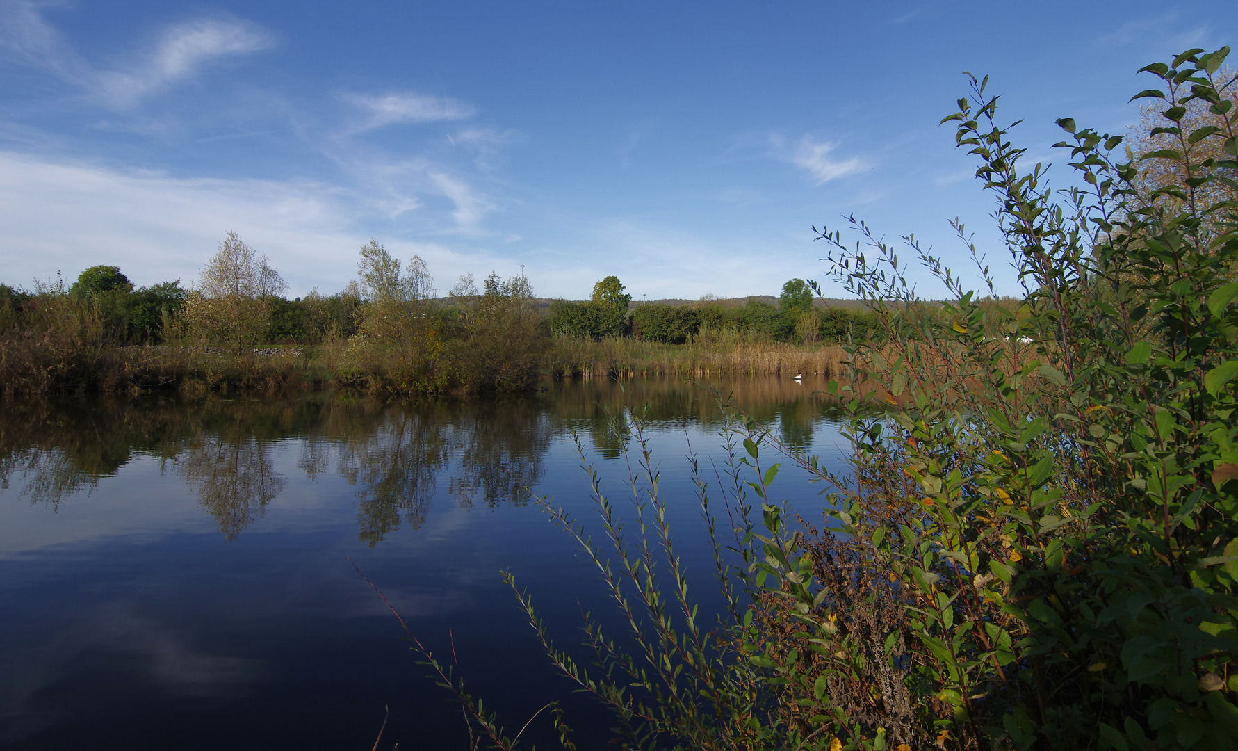 ...Herbst im Biotop