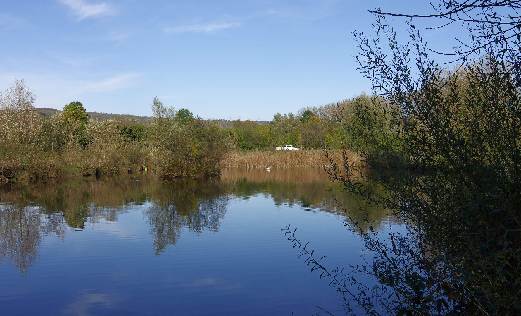 ...Herbst im Biotop