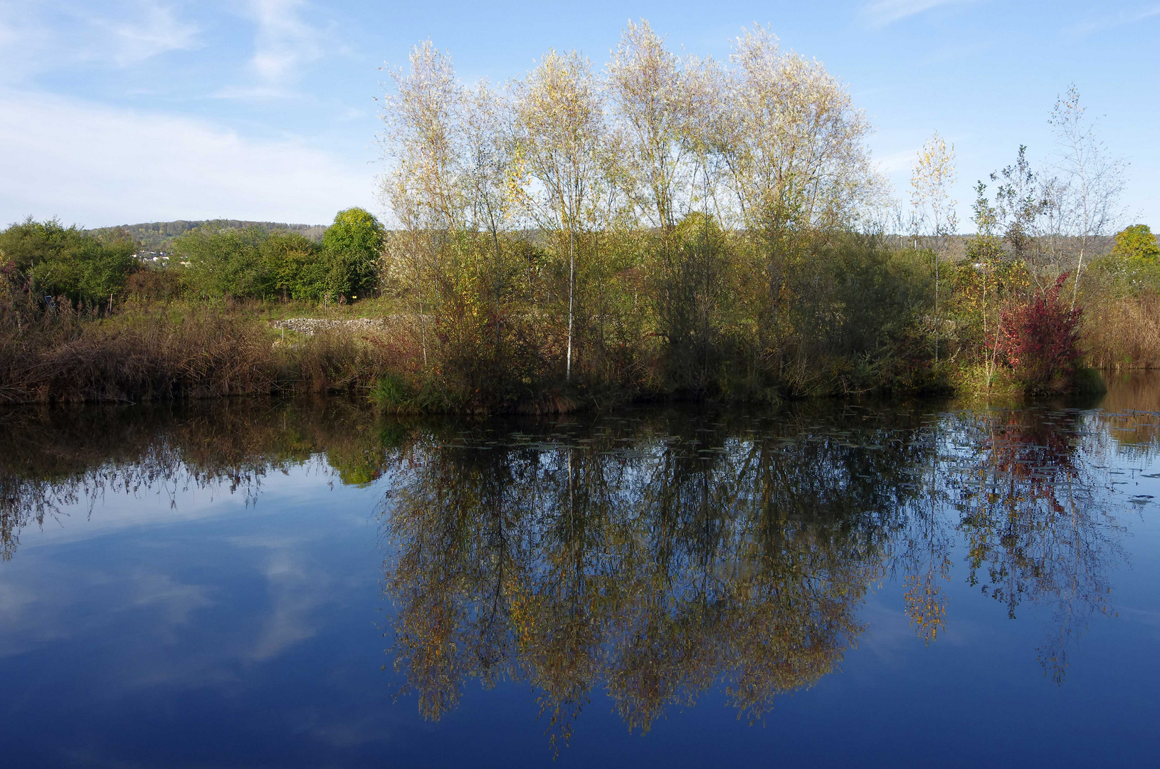 ...Herbst im Biotop