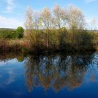 ...Herbst im Biotop