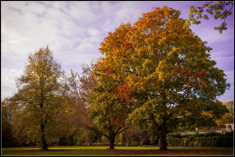 Herbst im Blohms Park