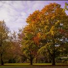 Herbst im Blohms Park
