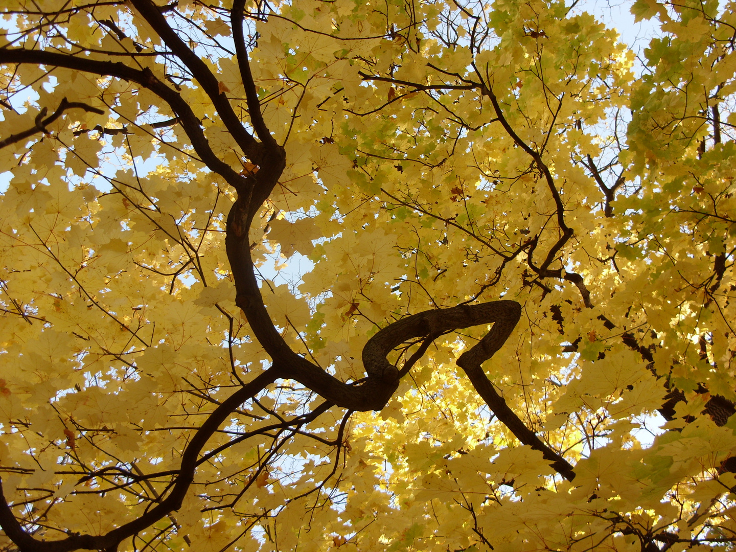 Herbst im Blüherpark