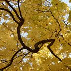 Herbst im Blüherpark