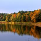 Herbst im Boddenland