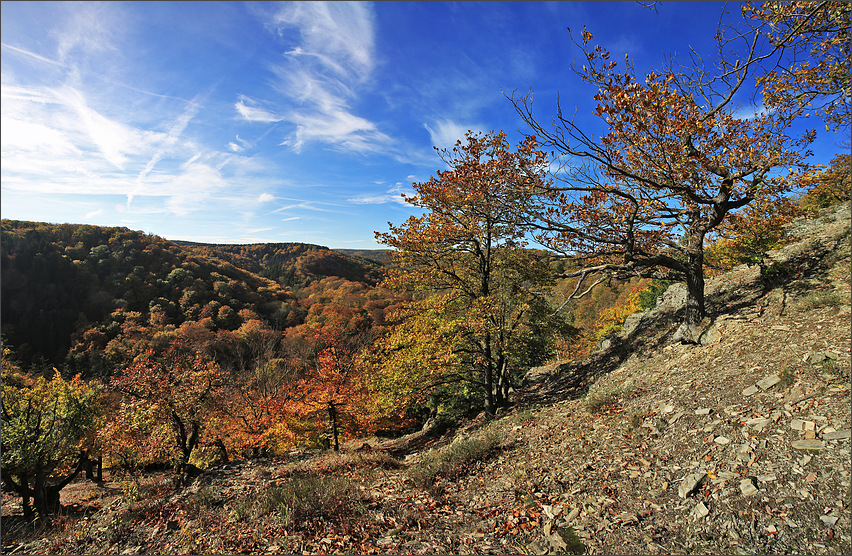 Herbst im Bodetal