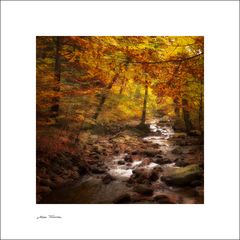 Herbst im Bodetal