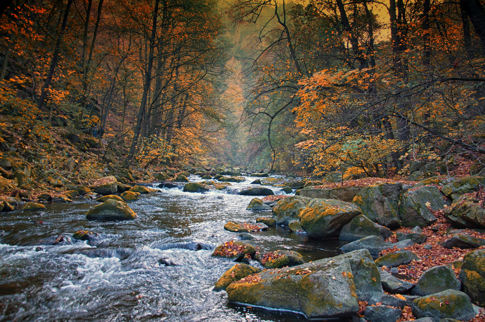 Herbst im Bodetal