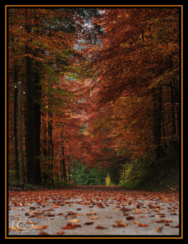 Herbst im Bodinggarben