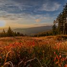 Herbst im Böhmerwald