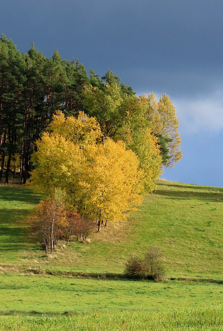 Herbst im Böhmerwald