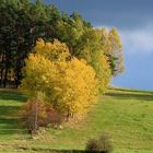 Herbst im Böhmerwald