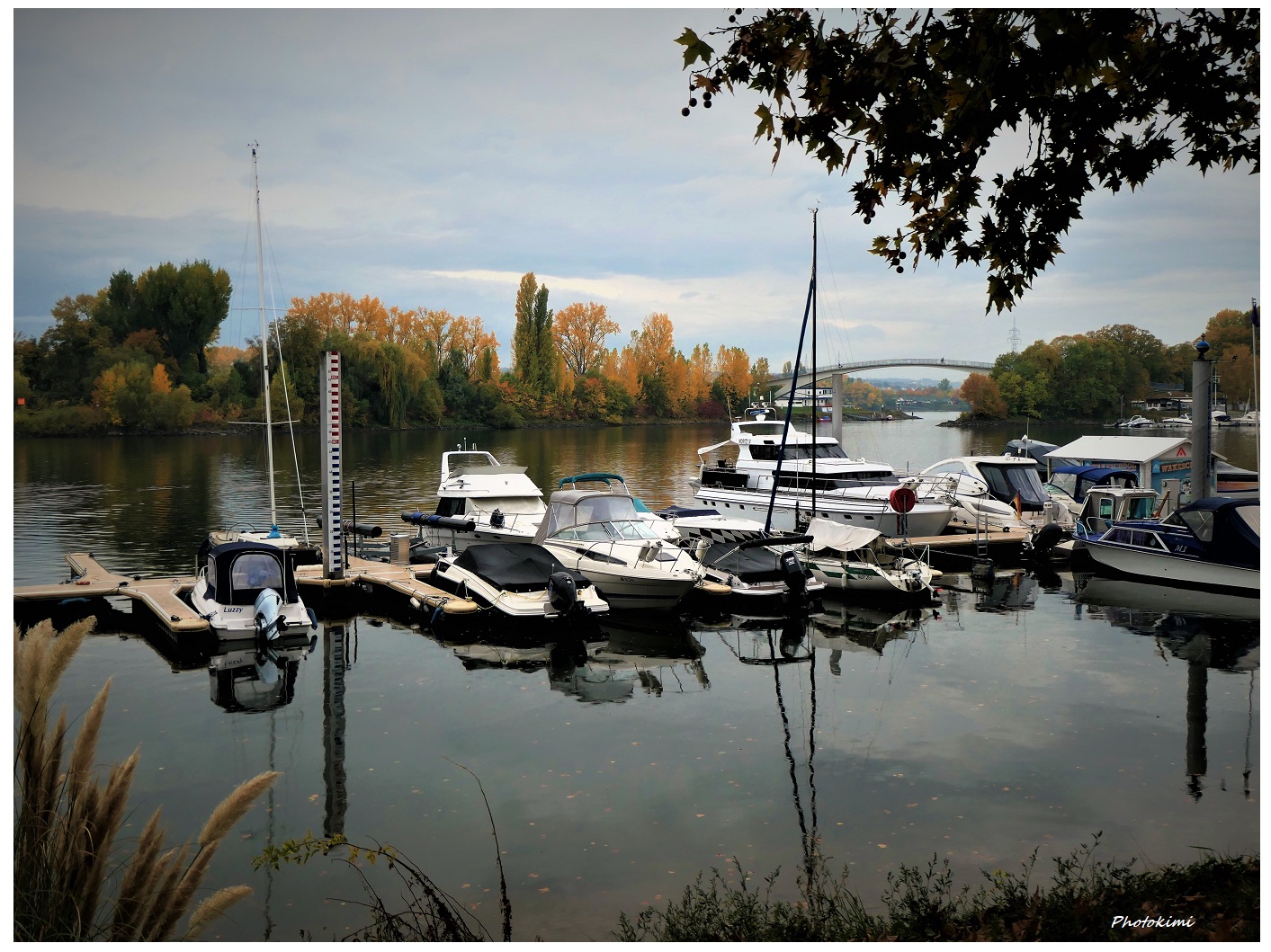 Herbst im Bootshafen Schierstein am Rhein