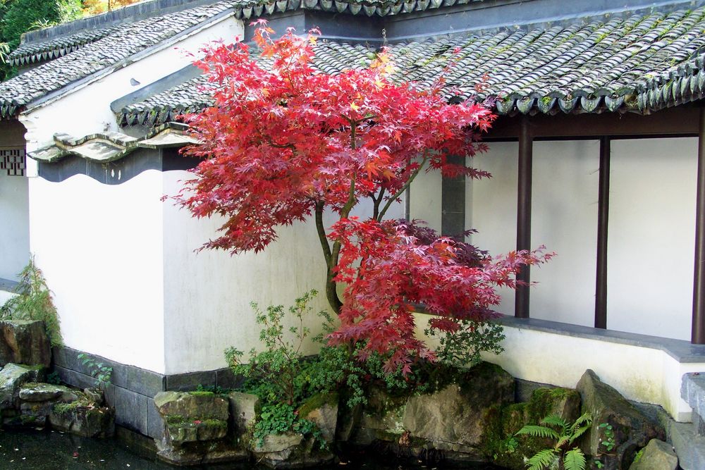 Herbst im Botaniaschen Garten